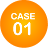 CASE01